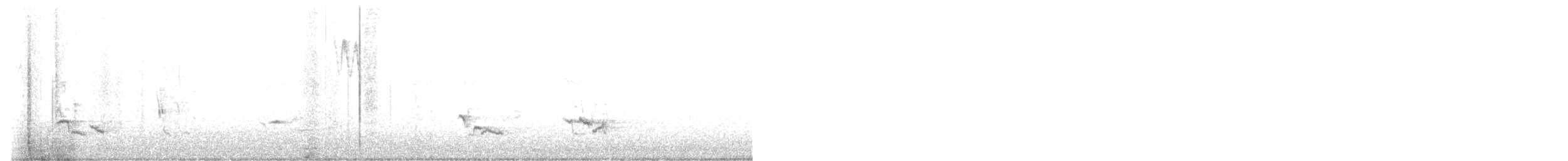 American Robin - ML642933709