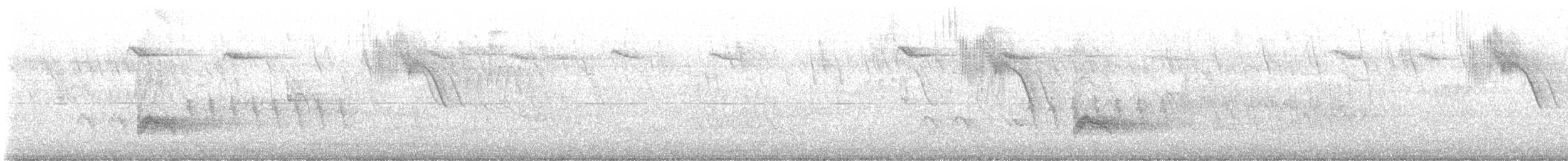 Tropical Mockingbird - ML642937421