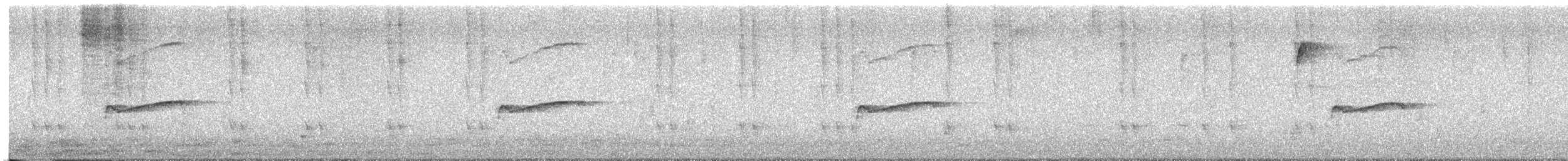 Eastern Wood-Pewee - ML642938261