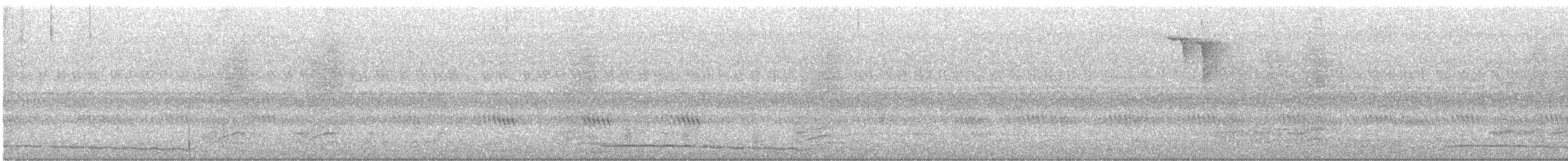 Eastern Screech-Owl - ML642938523