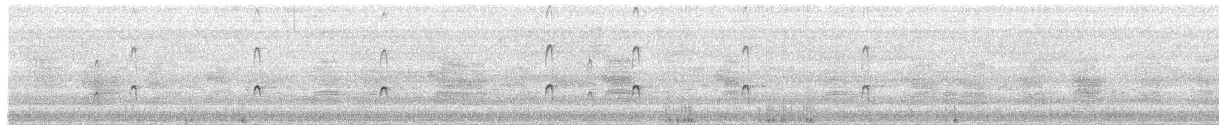 Black-winged Stilt - ML642938618