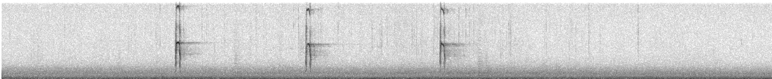 Hairy Woodpecker - ML642938695