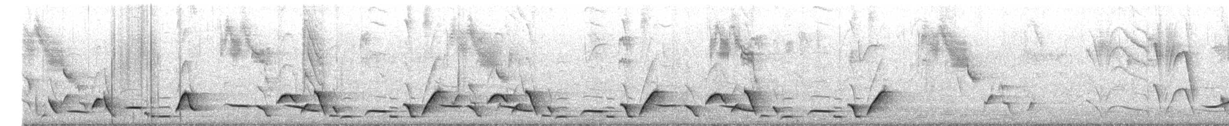 Whiskered Wren - ML642940115