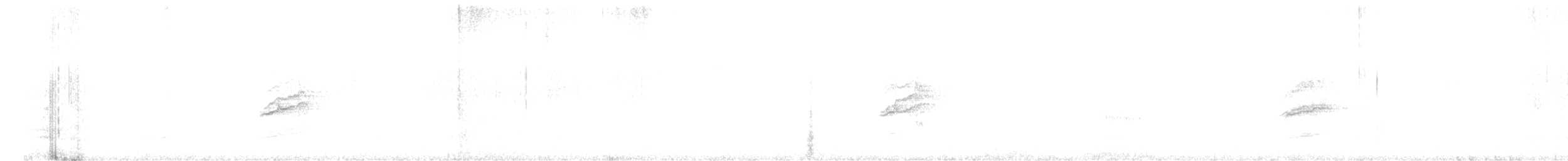 Hermit Thrush - ML642941219