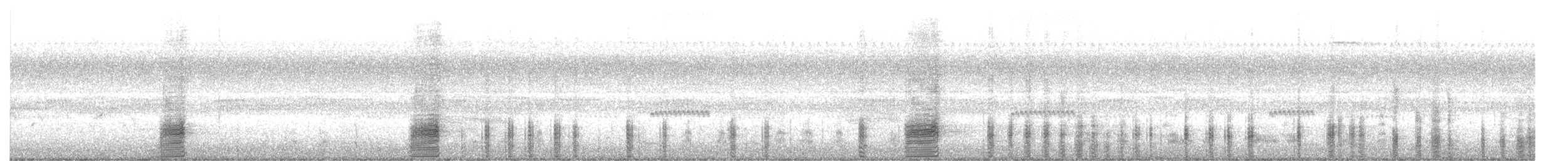 Mallard (Domestic type) - ML642942155