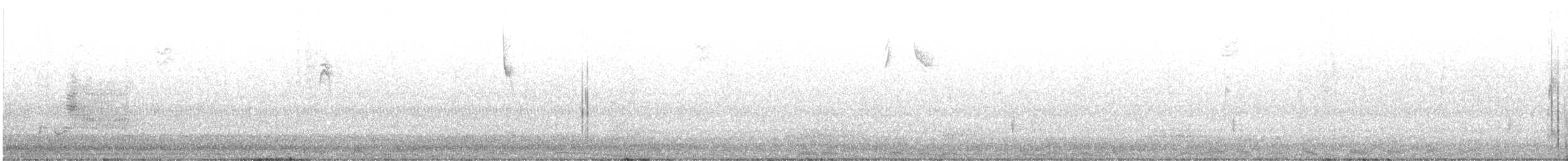 hvitkronespurv - ML642942196