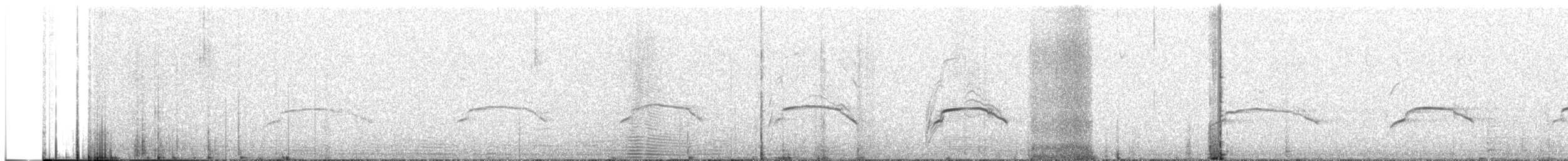Zone-tailed Hawk - ML642942621