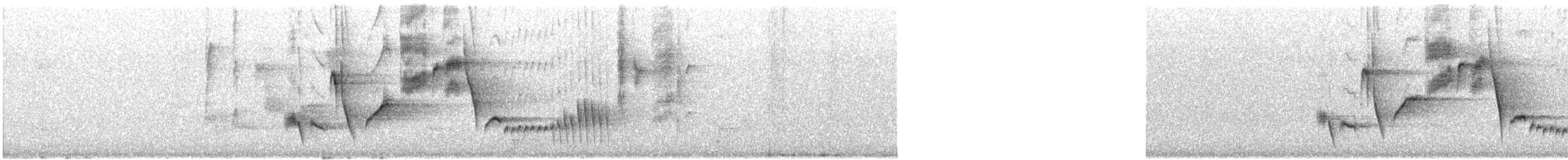 Mountain Thornbill - ML642942909