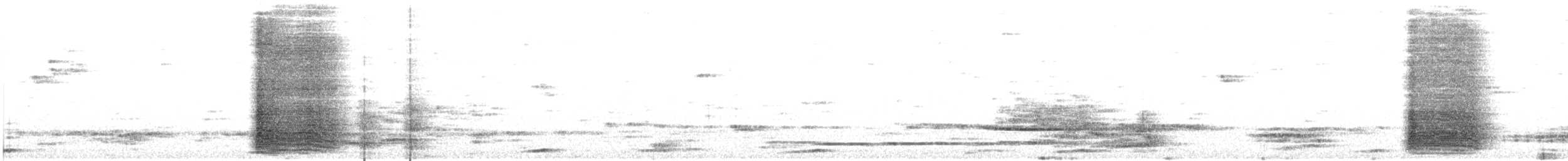 Regent Bowerbird - ML642942971