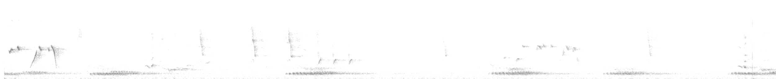 Channel-billed Cuckoo - ML642943007
