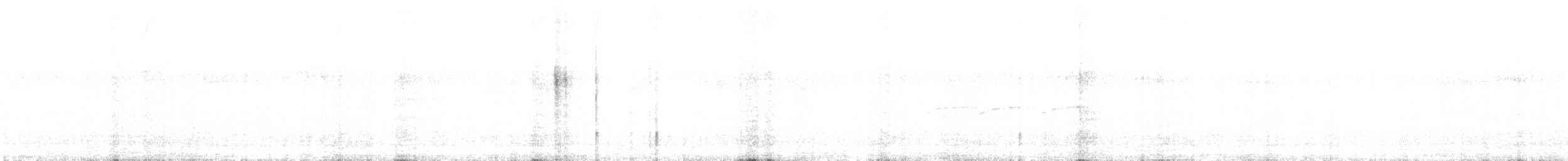 Red-tailed Comet - ML642943050