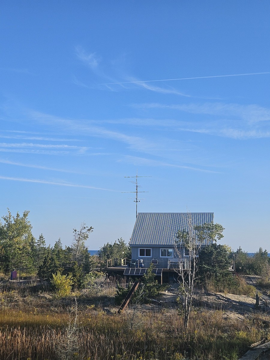 Townsend's Solitaire - ML642943539