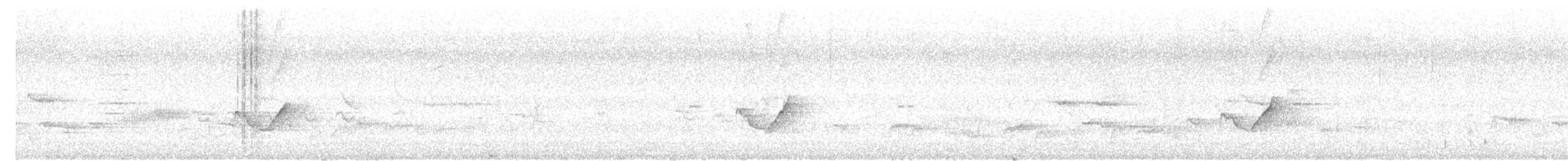 Amakihi familier (virens) - ML642944764