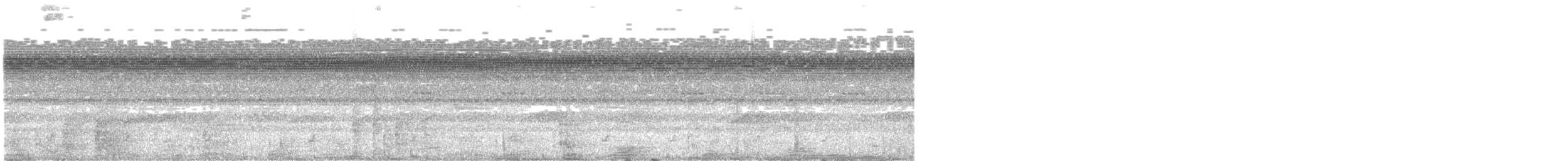 dunkelnatthauk - ML642946928