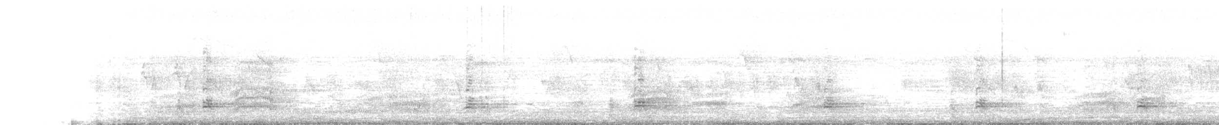 Ібіс білокрилий - ML642948513
