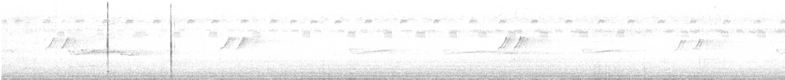Solitary Sandpiper - ML642949451