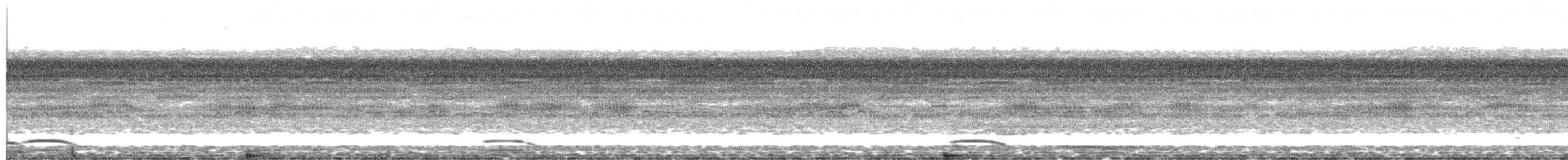 Collared Forest-Falcon - ML642950349