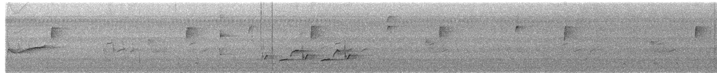 Carolina Wren - ML642950719