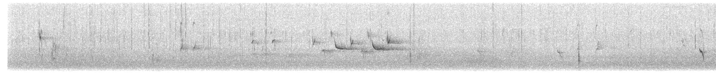 Crociere comune - ML642952121