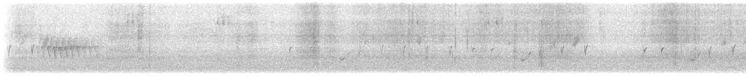 Crociere comune - ML642952122
