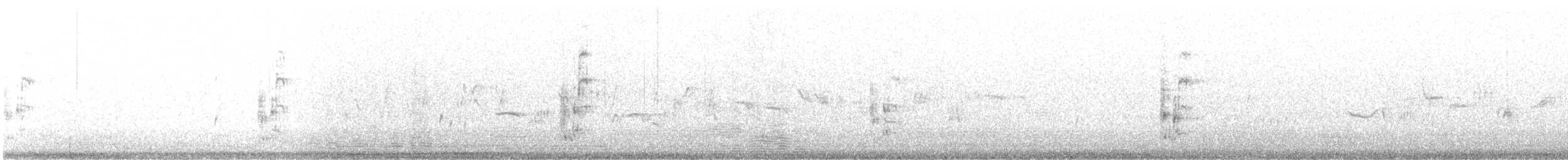 Great Gray Shrike (Sahara) - ML642952761