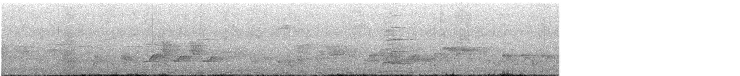 Blongios d'Australie - ML642955187