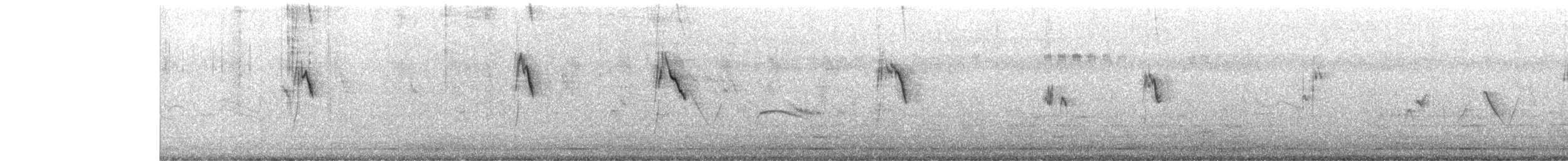 Cutrettola - ML642955505