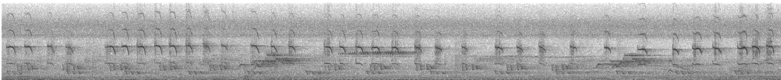 Pied Falconet - ML642956546