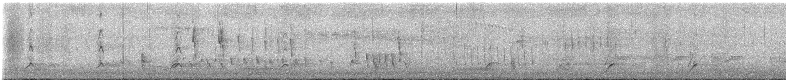 Méliphage à oreillons bleus (groupe cyanotis) - ML642957349
