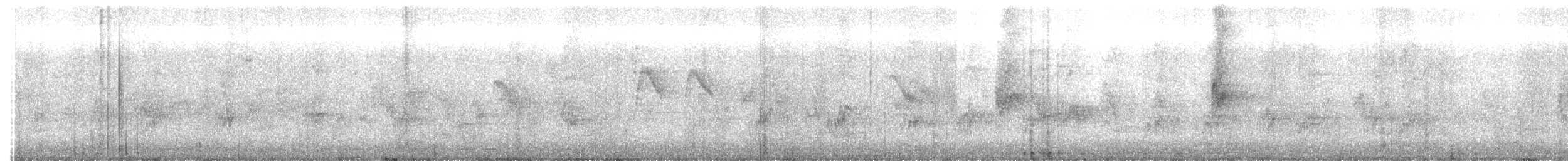 Black-collared Starling - ML642958192