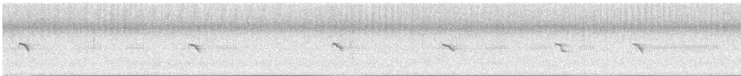 Iberian Chiffchaff - ML642958652