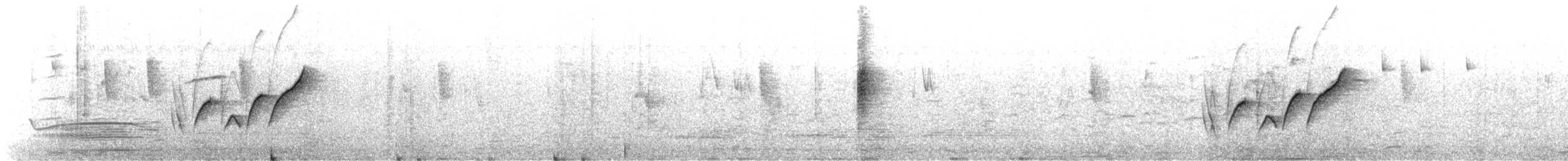 White-bellied Canary - ML642961933