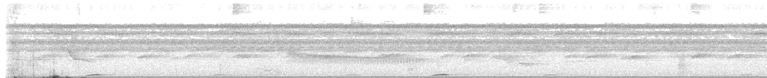 Whooping Motmot - ML642962202