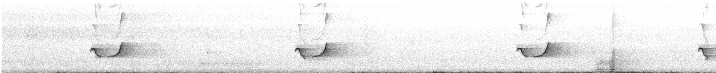 sørkrattskvett - ML642962686