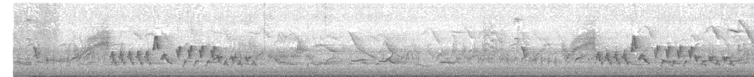 Southern House Wren - ML642965023