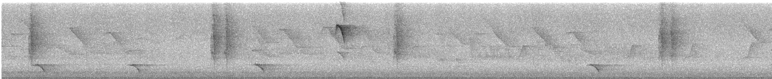 plysjskrike - ML642965053