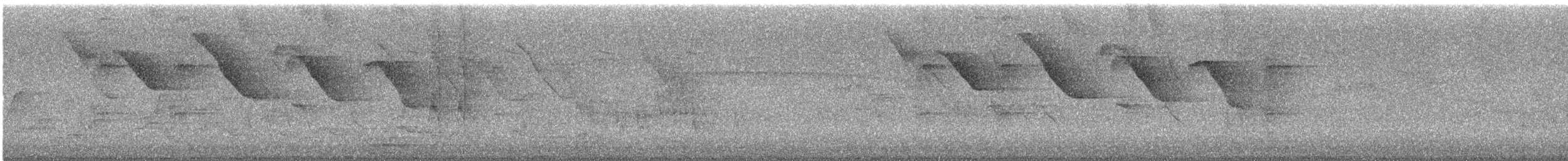 Tangara sayaca - ML642965066