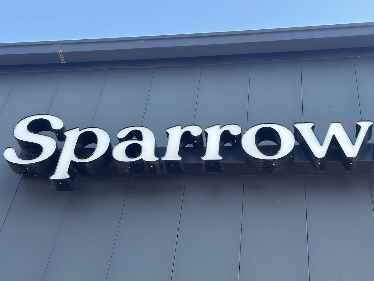 House Sparrow - ML642965308