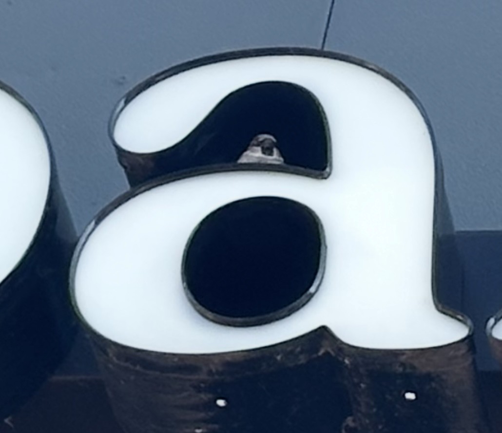 House Sparrow - ML642965340