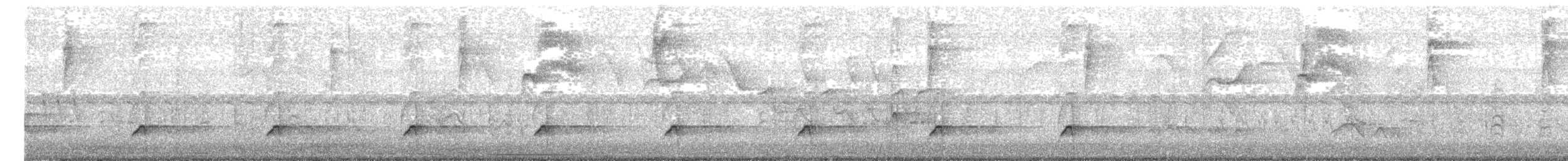 Common Squirrel-Cuckoo - ML642965440