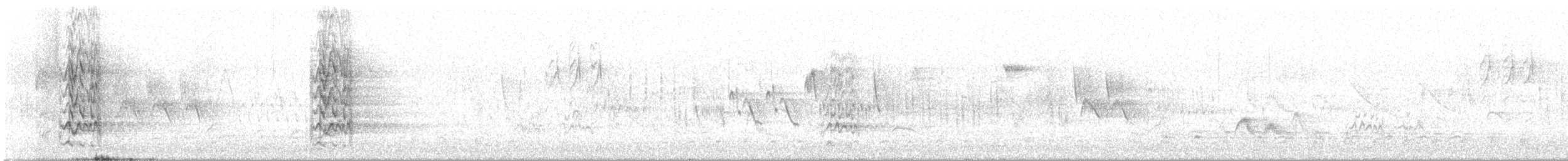 Slender-billed Parakeet - ML642965943