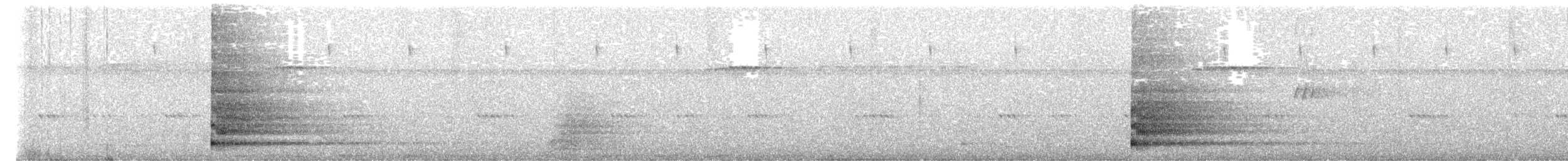 Bearded Bellbird - ML642965974