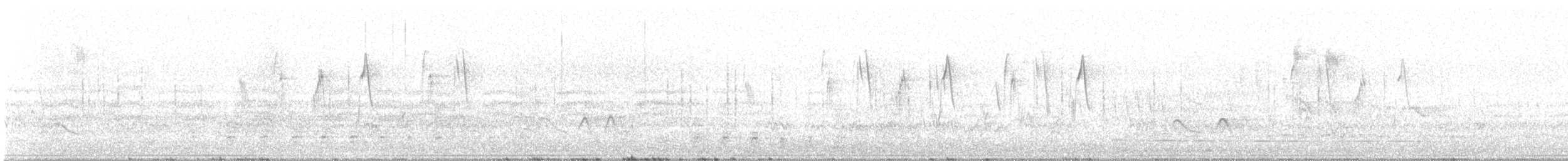 Correndera Pipit - ML642966352