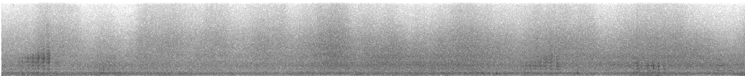 Cormorano - ML642967671