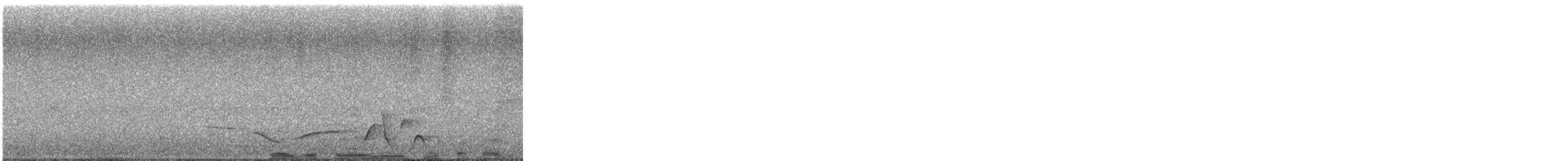 Whiskered Wren - ML642971465