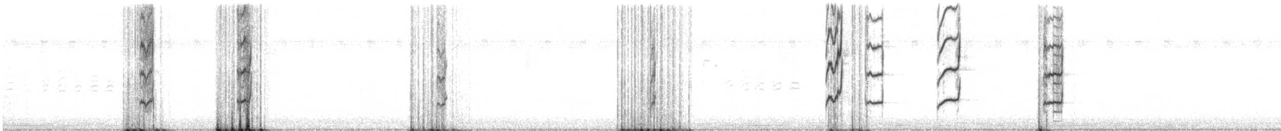 חטפית זעירה - ML642972216