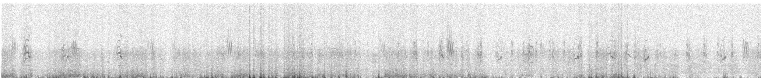 Peruvian Tern - ML642972630