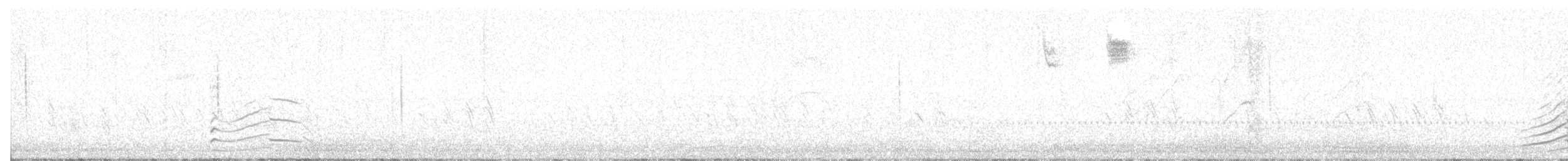 Wood Duck - ML642972730
