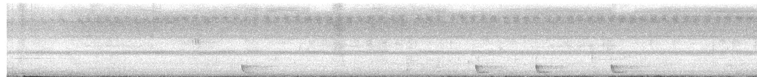 Large-tailed Nightjar - ML642973530