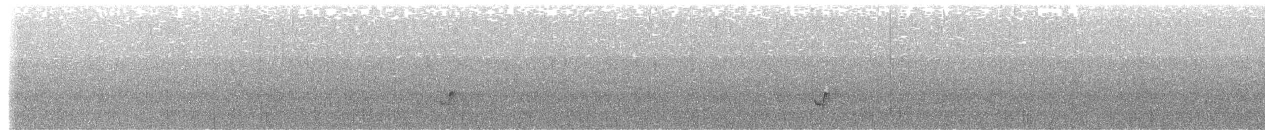 Riverside Wren - ML642974745